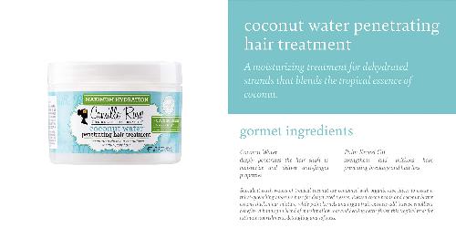 Camille Rose Coconut Water Penetrating Hair Treatment, 8.0 Fl. Oz., 240 ml (Pack of 1) The Prime Store